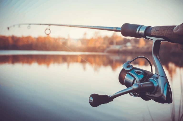 Best Ultralight Spinning Reels 2020 - Real Kayak