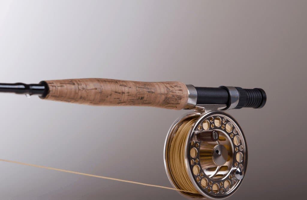 The Best Fly Rod for Beginners