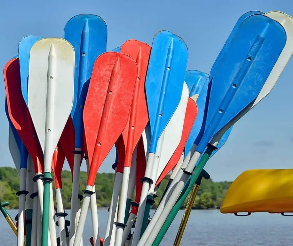 How To Choose A Kayak Paddle?